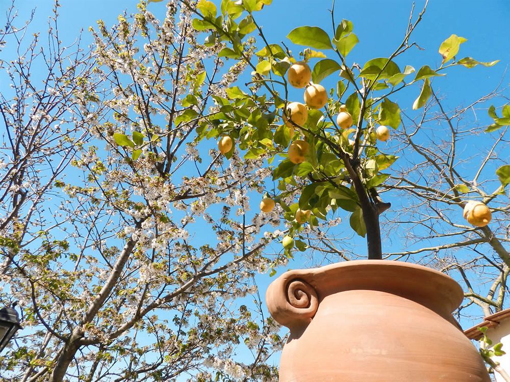 Bacio Del Sole B&B פוזיטנו מראה חיצוני תמונה
